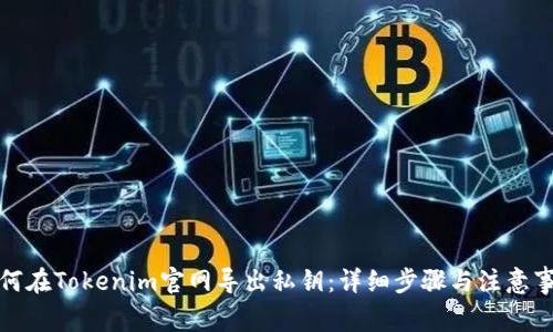 如何在Tokenim官网导出私钥：详细步骤与注意事项
