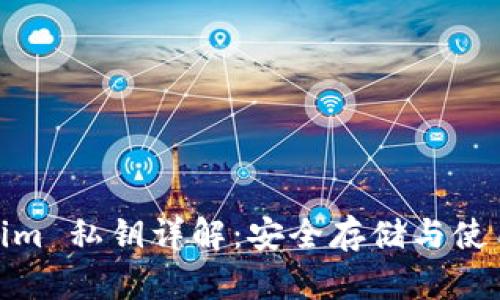 tokenim 私钥详解：安全存储与使用策略