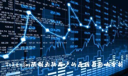 Tokenim限制大陆用户的原因与影响分析