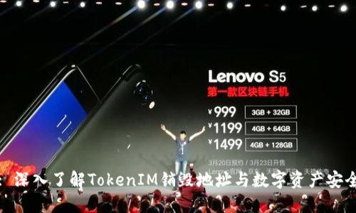 : 深入了解TokenIM销毁地址与数字资产安全