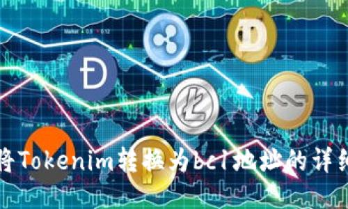 如何将Tokenim转换为bc1地址的详细指南