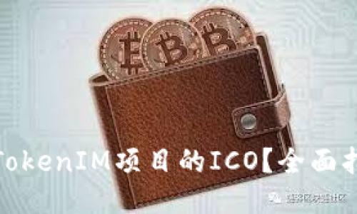 如何参与TokenIM项目的ICO？全面指南与策略