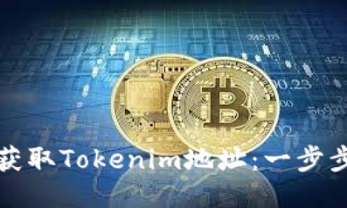如何获取Tokenim地址：一步步指南