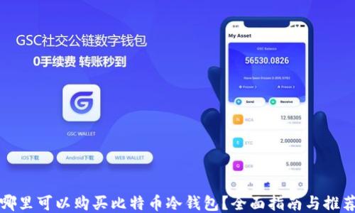 哪里可以购买比特币冷钱包?全面指南与推荐