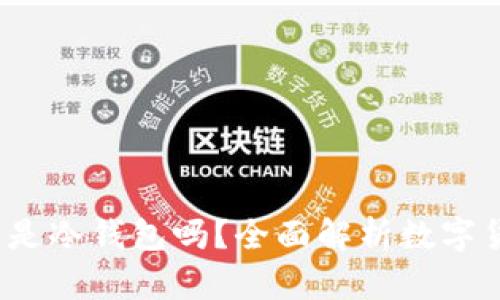  星客交易所是冷钱包吗？全面解析数字货币存储安全