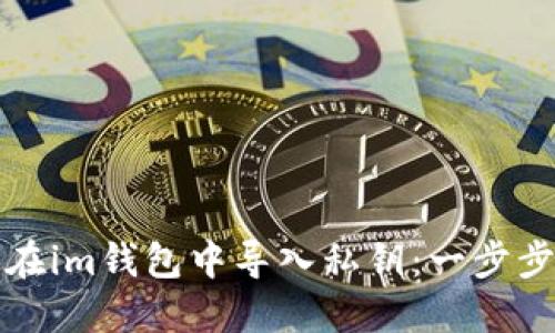 如何在im钱包中导入私钥：一步步教程