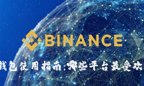 冷钱包使用指南：哪些平台最受欢迎？