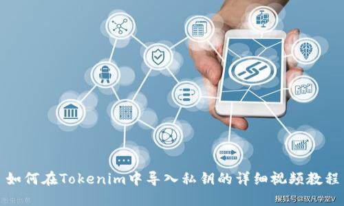 如何在Tokenim中导入私钥的详细视频教程