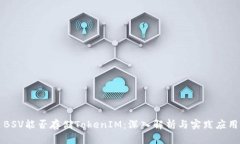 BSV能否存储TokenIM:深入解析与实践应用