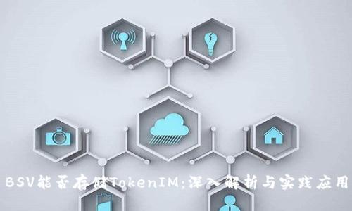 BSV能否存储TokenIM:深入解析与实践应用