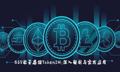 BSV能否存储TokenIM:深入解析与实践应用