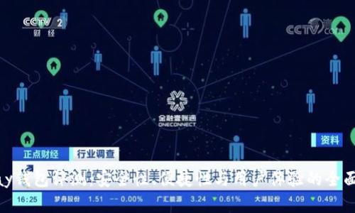 OKPay钱包评测:安全性、便捷性与用户体验的全面分析
