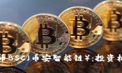 深入解析虚拟币BSC(币安智能链):投资机会与