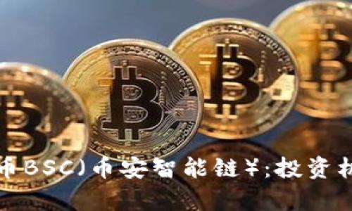 深入解析虚拟币BSC（币安智能链）：投资机会与市场前景