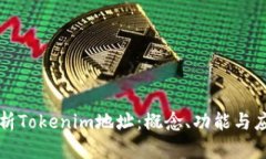 深入解析Tokenim地址：概念、功能与应用场景