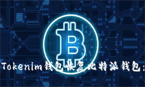 如何使用Tokenim钱包恢复比特派钱包：完整指南