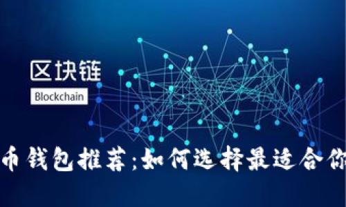 数字货币钱包推荐：如何选择最适合你的钱包