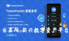 探索BG虚拟币交易所:新兴数字资产平台的全方位