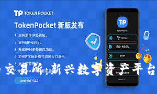探索BG虚拟币交易所：新兴数字资产平台的全方位解读