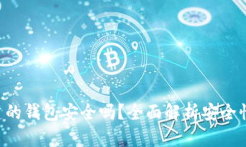 Tokenim创建的钱包安全吗?全面解析安全性及防护措施