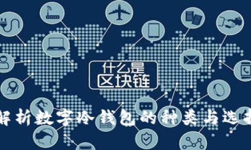 全面解析数字冷钱包的种类与选择指南