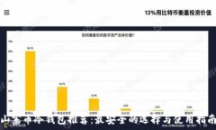 山寨币冷钱包推荐:最安全的选择与使用指南
