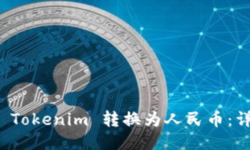 如何将 Tokenim 转换为人民币:详细指南