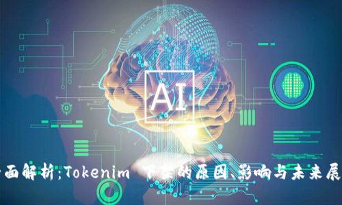 全面解析:Tokenim 下架的原因、影响与未来展望
