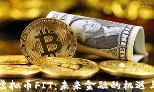 
解密虚拟币FIT：未来金融的机遇与挑战