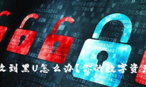 冷链钱包收到黑U怎么办？你的数字资产安全指南