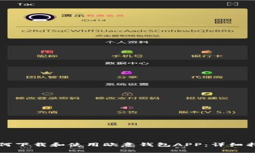 如何下载和使用欧意钱包APP：详细指南