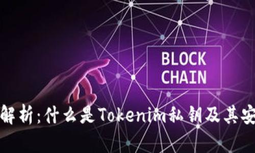 深入解析：什么是Tokenim私钥及其安全性